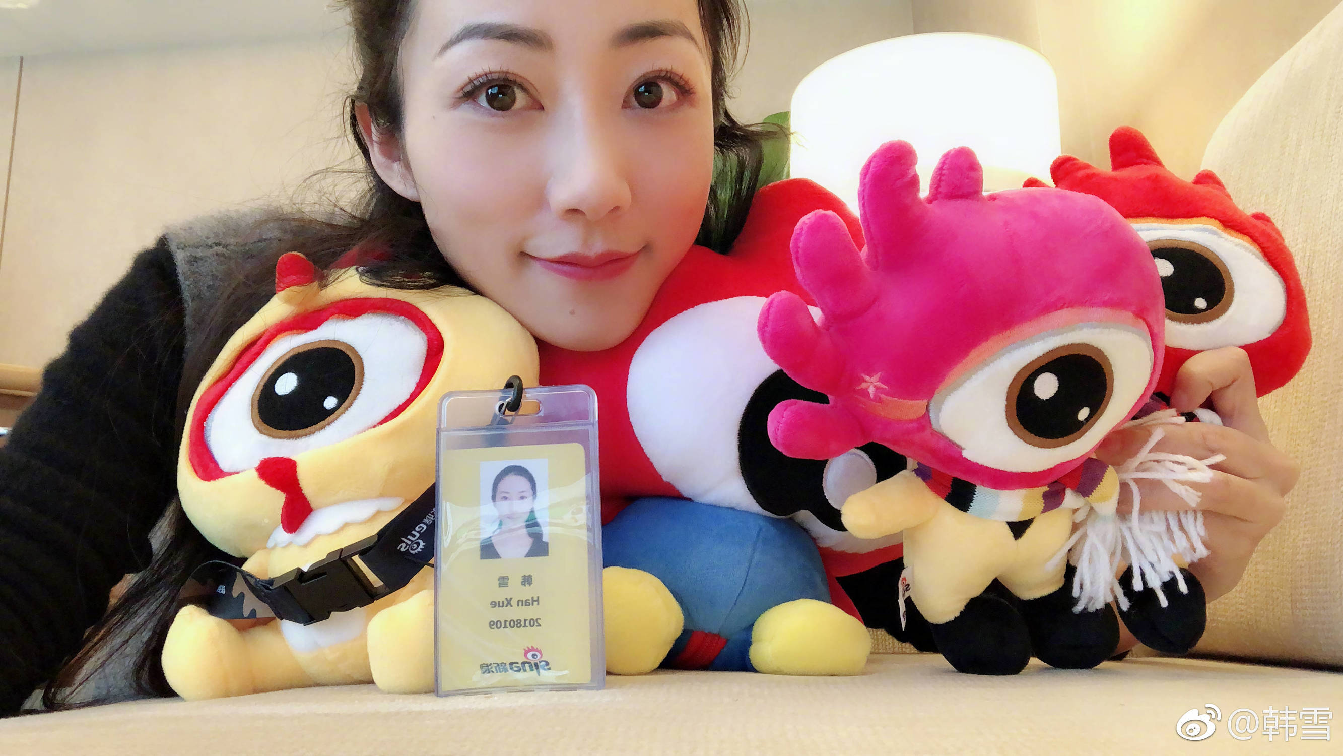 韩雪工作,韩雪新浪科技有限公司