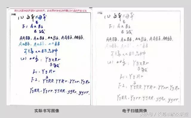 网上阅卷考生应注意答题技巧,电子阅卷答题用什么笔最好
