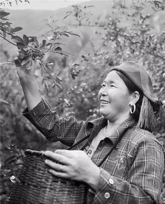 麻辣空间餐厅,贡井麻辣空间火锅