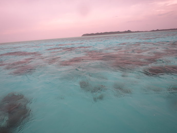 帕劳海底世界,帕劳七色海全景图