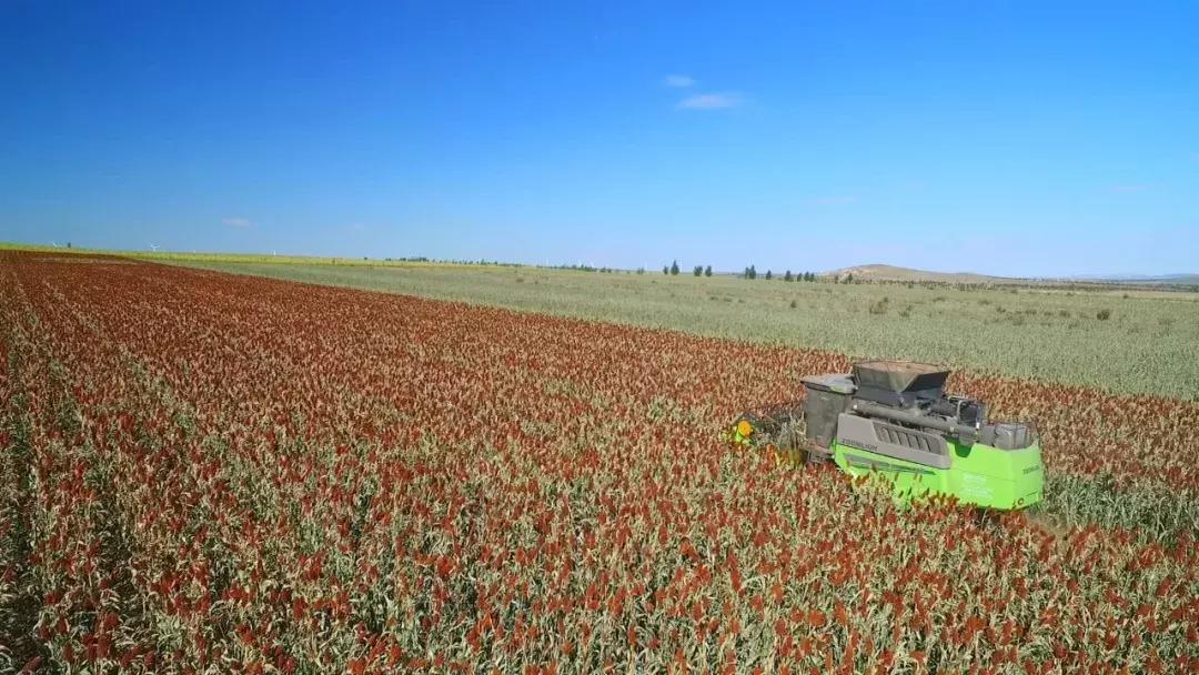 小麦收割机谷王90都有什么功能,谷王90小麦收割机2023款如何改进