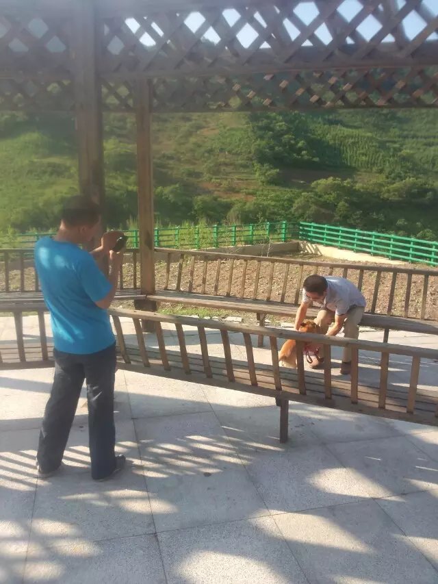 浪漫的集体露营,浪漫的第一次