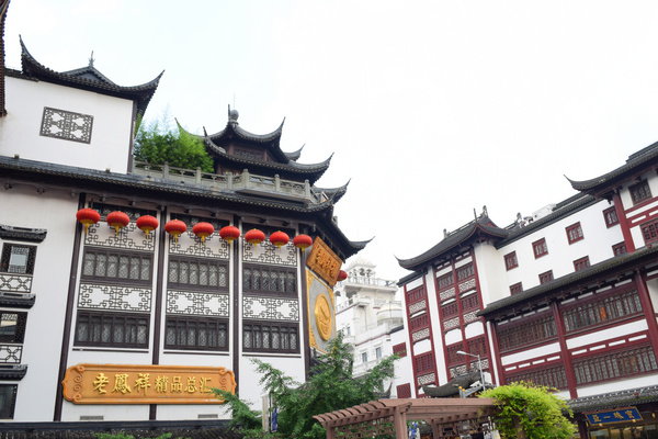 繁荣的假象——庞氏*局骗**