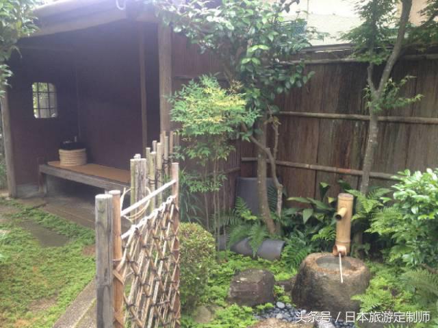 日本文化深度解读,日本文化通史讲什么了