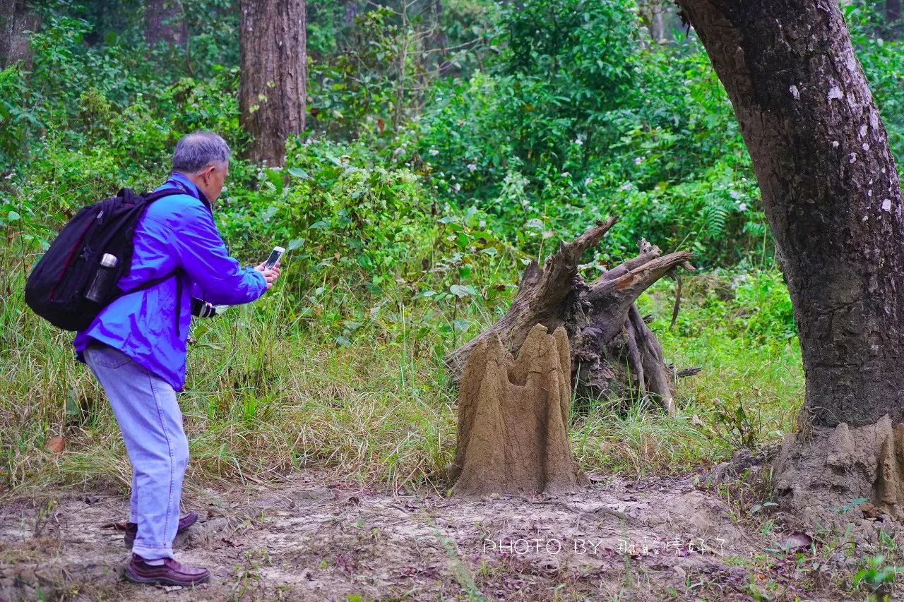 尼泊尔必买商品,尼泊尔购物街必买清单
