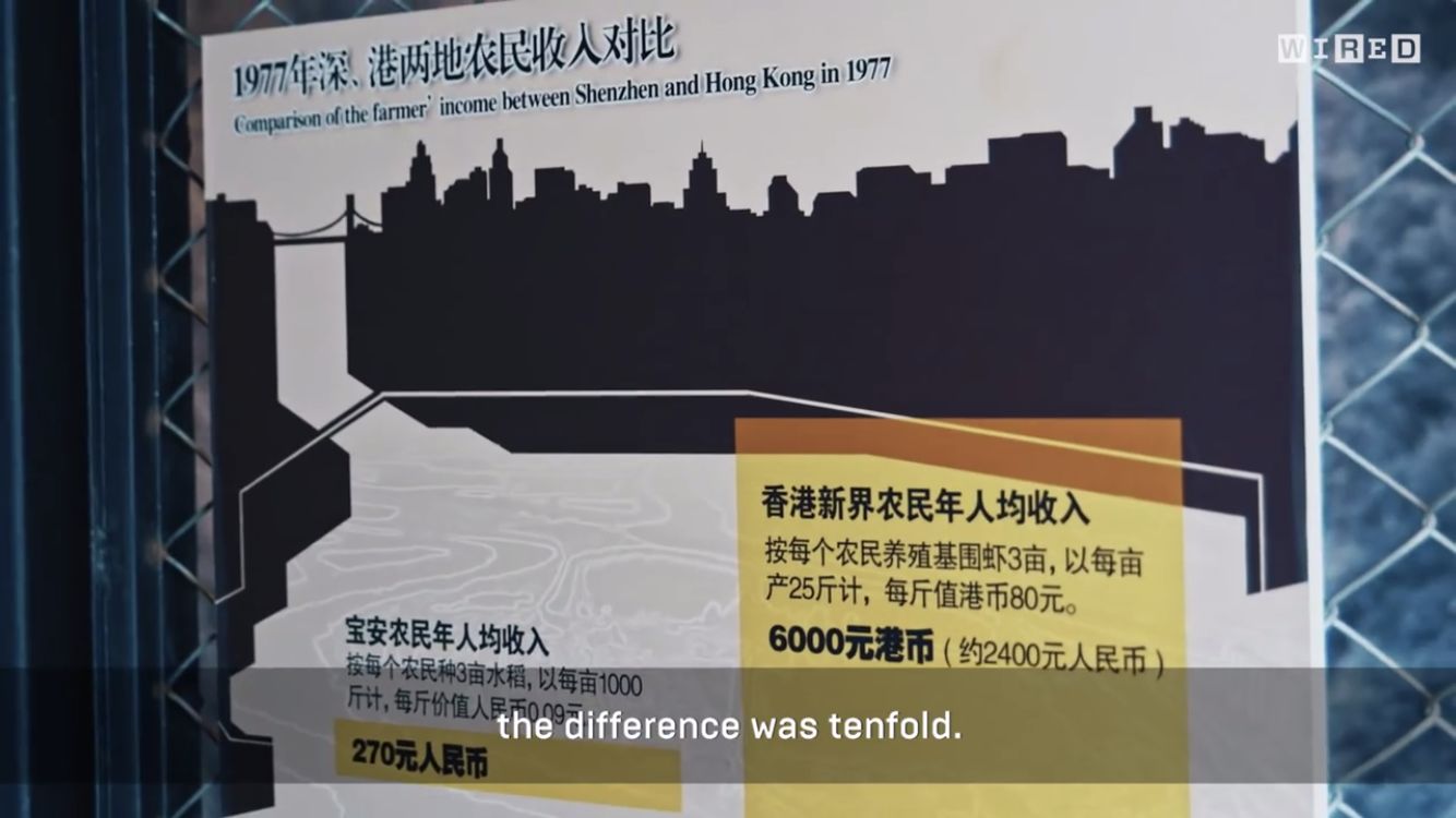 原来深圳那么美,原来深圳这么美