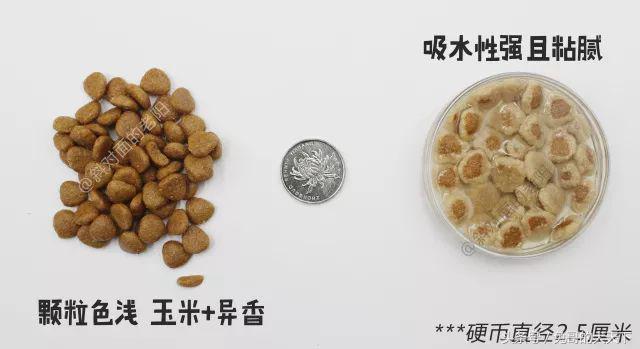 宠粮河北,怎么评价河北宠粮