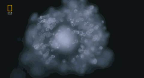 卵子和精子相遇……怎么就变成小孩了?