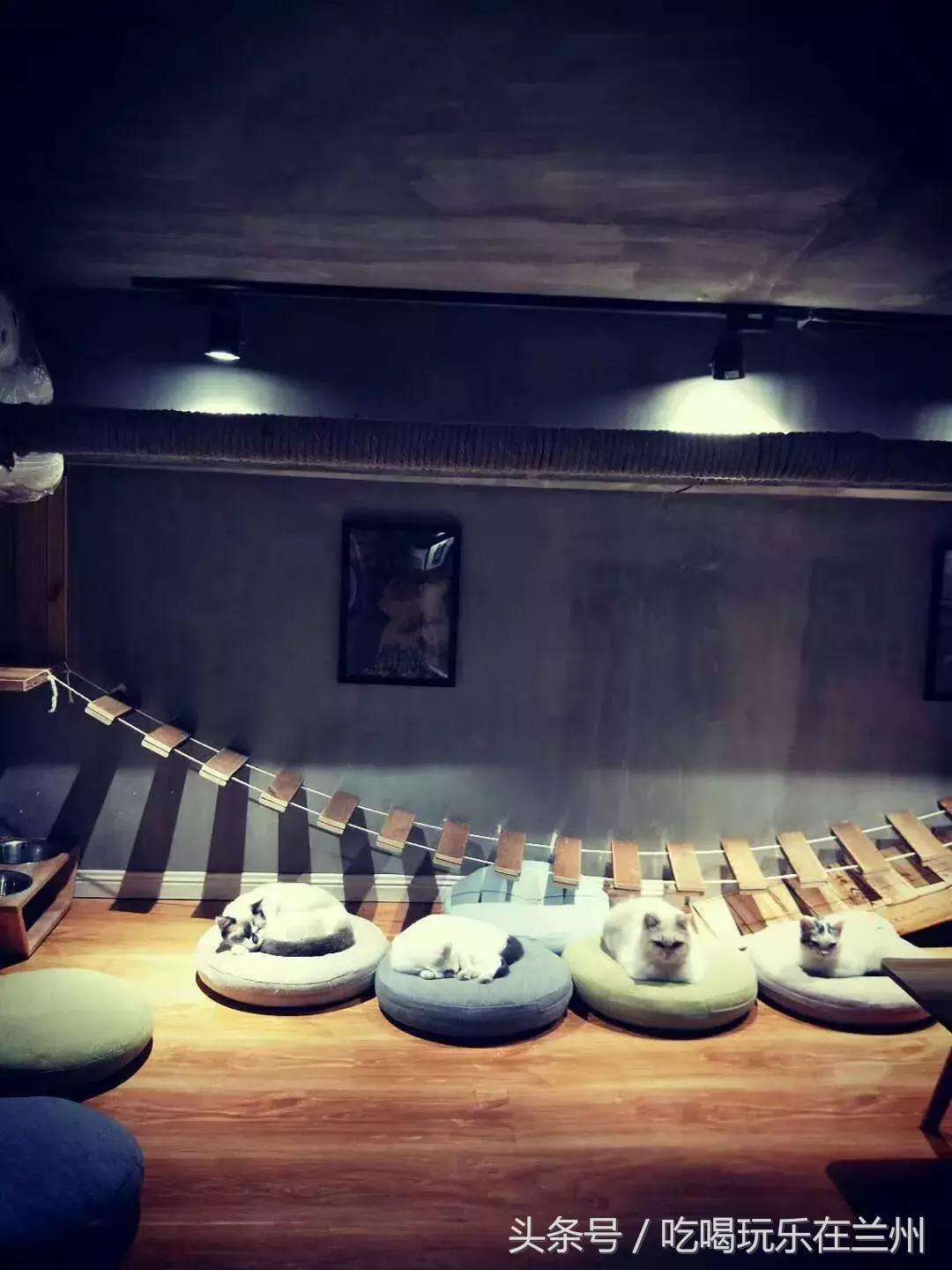 兰州冬天好去处,第二个有点恐怖,第四个你还没去过就out了!