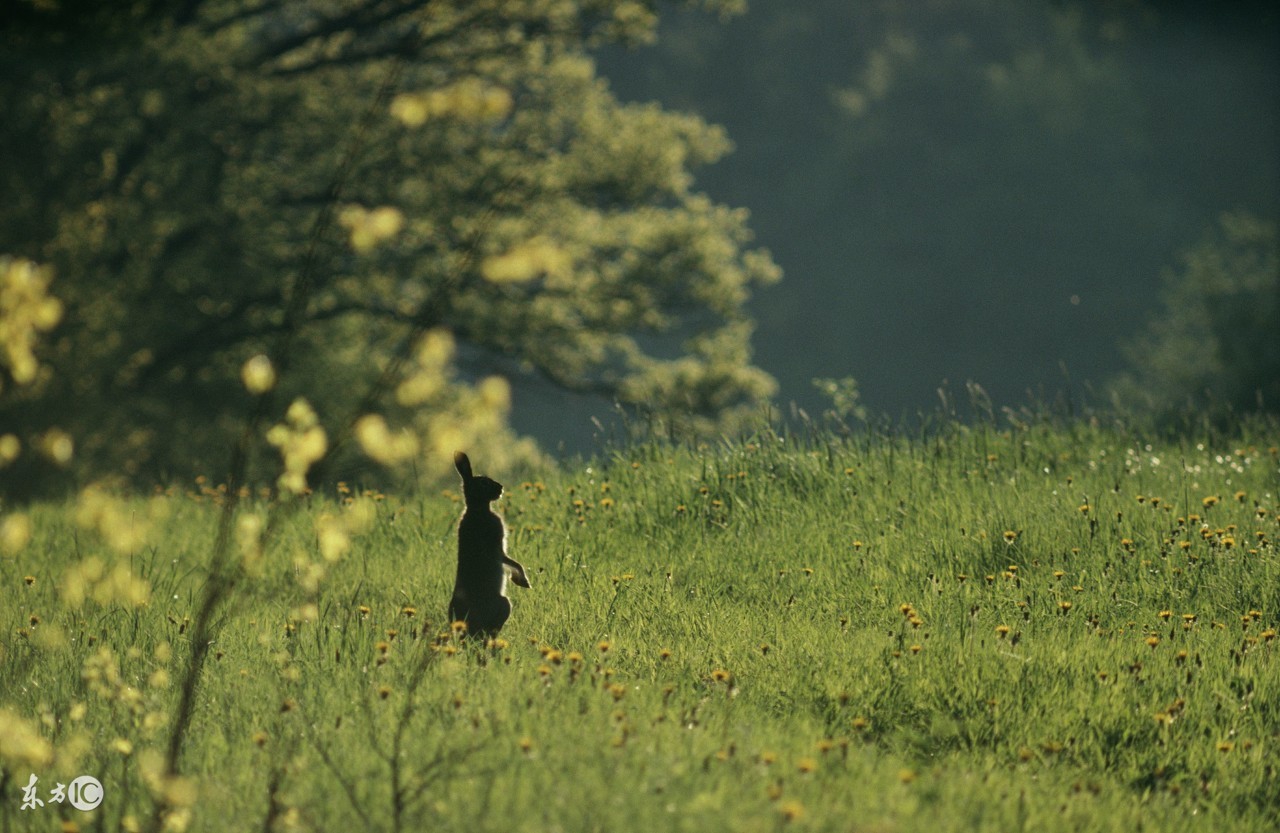 生活气息随笔,生活感悟随笔可以写在头条里么