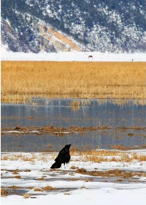 国内必去十二个赏雪圣地,国内超美雪景