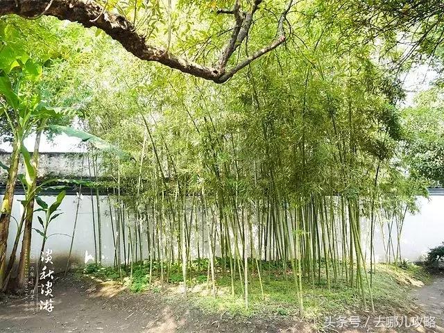 凤凰古城免费旅游攻略,凤凰古城游玩攻略一日游