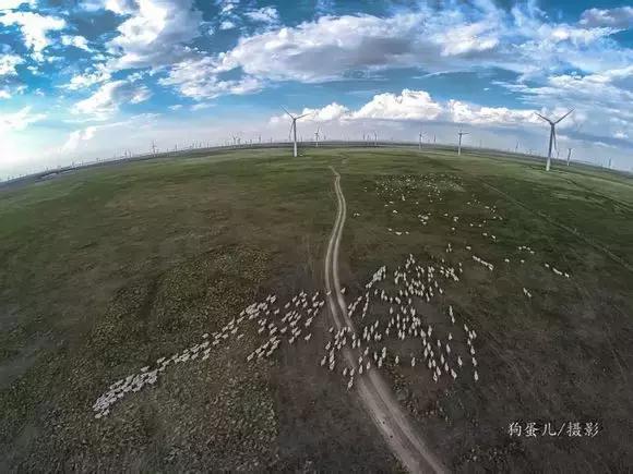 我的家乡草原明珠锡林浩特,美丽的锡林浩特