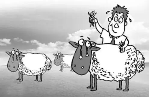 薅羊毛|0.2元撸腾讯视频会员,39万用户成功薅走5000万羊毛