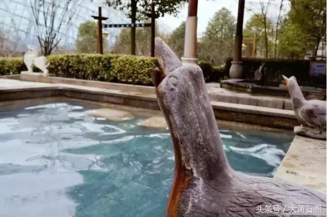 黄石附近泡温泉好去处推荐,黄石哪里有好的泡温泉的地方