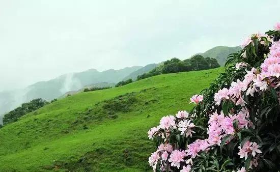 广东草原风景,广东绝美草原