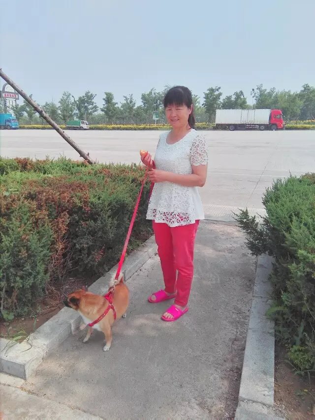 浪漫的集体露营,浪漫的第一次