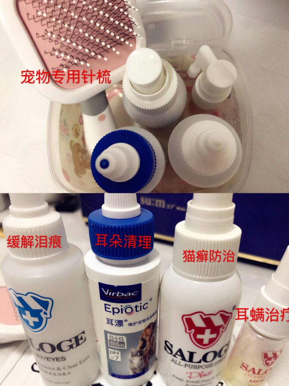 「铲屎官需知」猫咪高颜值必备,如何让猫咪拥有健康的皮肤?