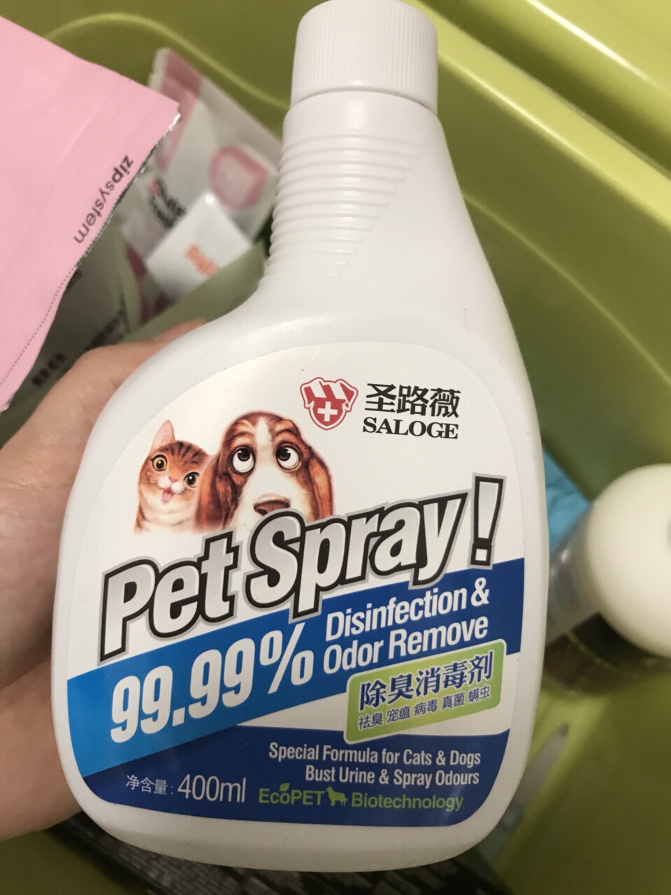 「铲屎官需知」猫咪高颜值必备,如何让猫咪拥有健康的皮肤?