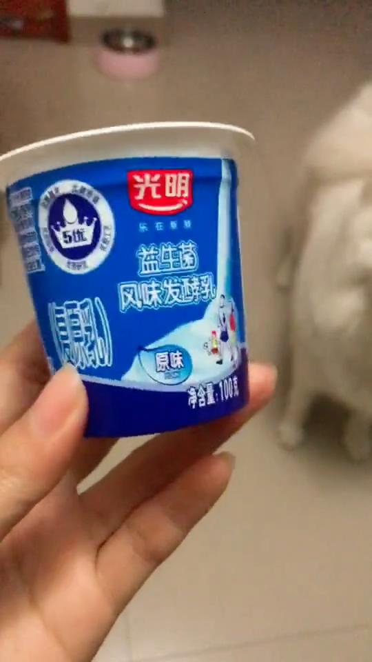 狗狗喂药好难喂怎么喂才好,如何正确给狗狗喂液体药