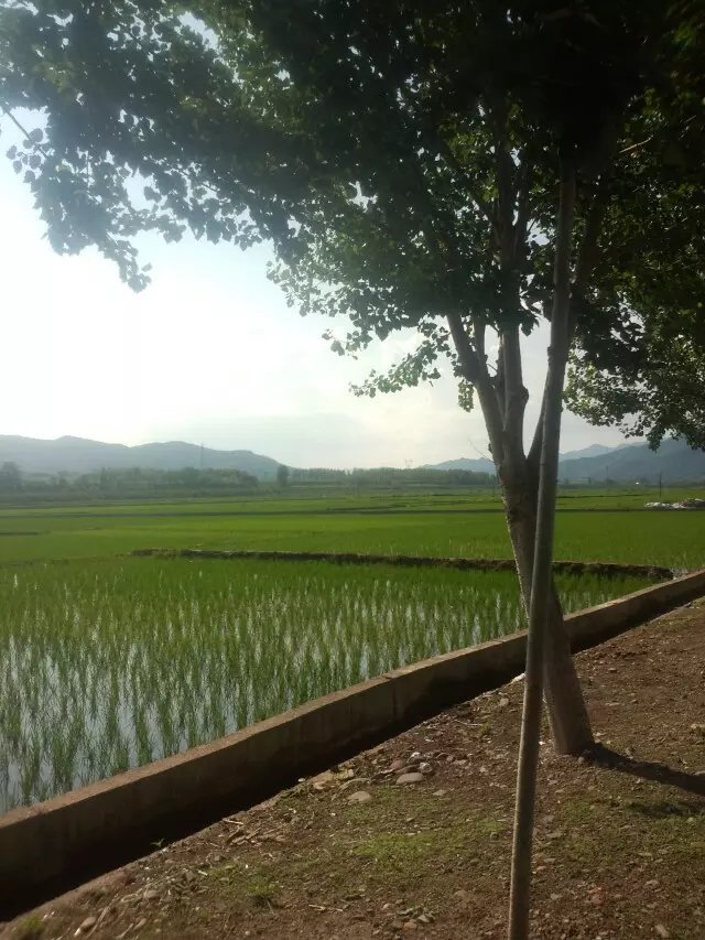 浪漫的集体露营,浪漫的第一次