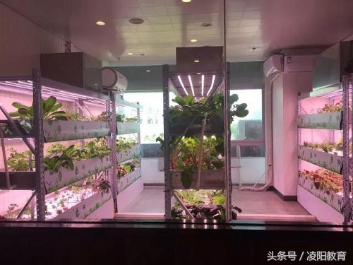 寮曚紒鍏ユ牎浜ф暀铻嶅悎,鍑岄槼鍩硅