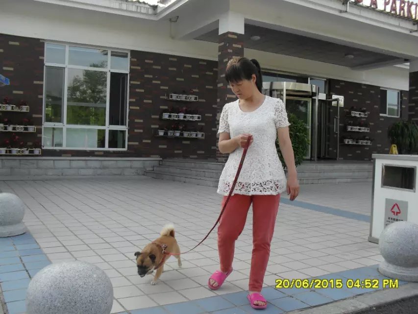 浪漫的集体露营,浪漫的第一次