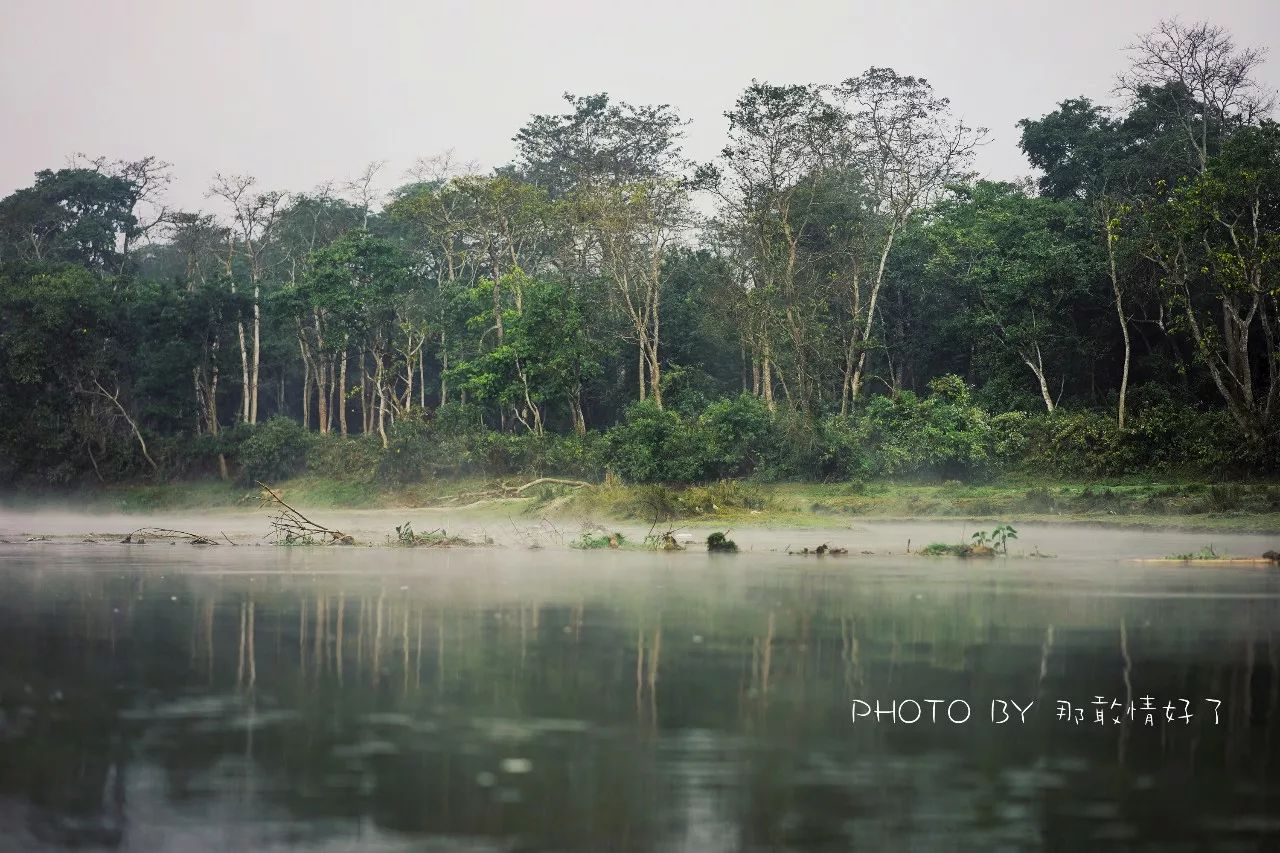 尼泊尔必买商品,尼泊尔购物街必买清单