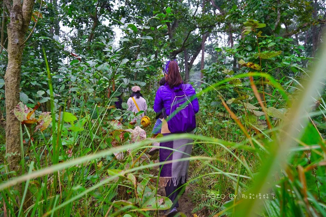 尼泊尔必买商品,尼泊尔购物街必买清单