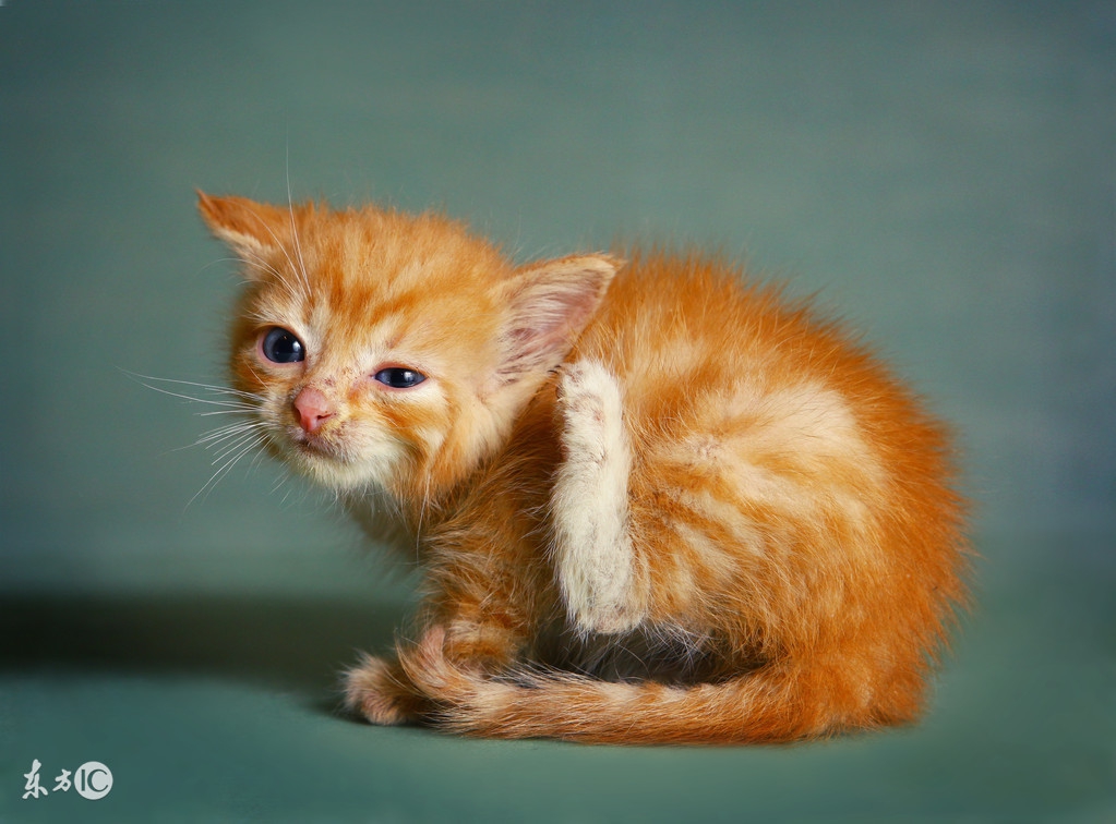 宝宝湿疹不用吃药,宝宝湿疹怎么和宝妈沟通