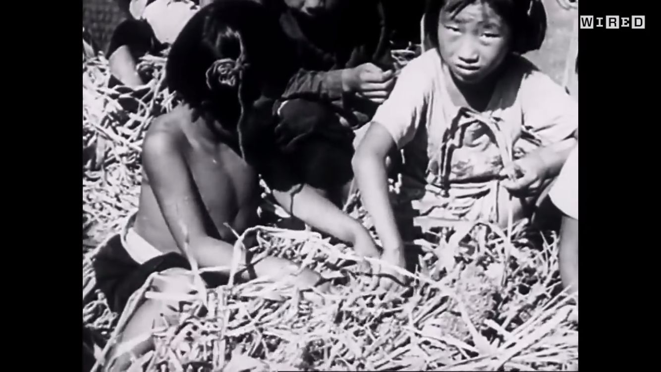 原来深圳那么美,原来深圳这么美