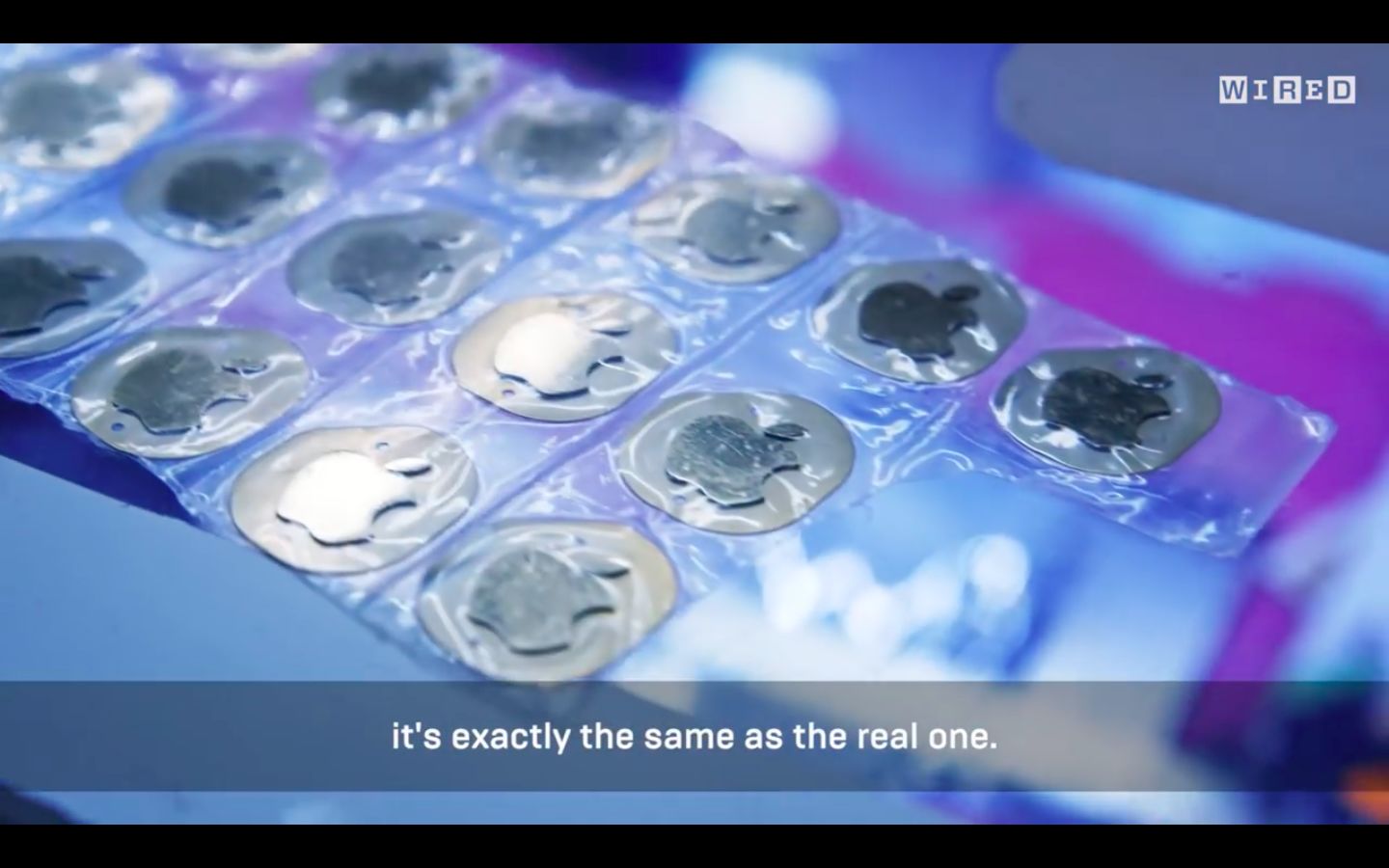 原来深圳那么美,原来深圳这么美