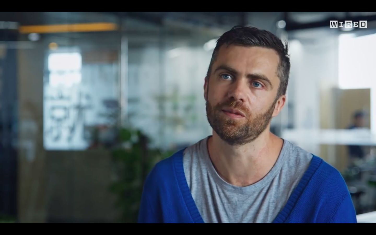 原来深圳那么美,原来深圳这么美