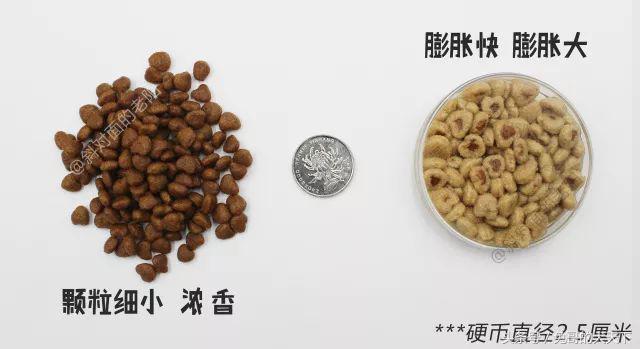 宠粮河北,怎么评价河北宠粮