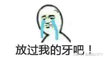 宠粮河北,怎么评价河北宠粮