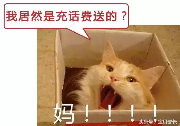 卵子和精子相遇……怎么就变成小孩了?