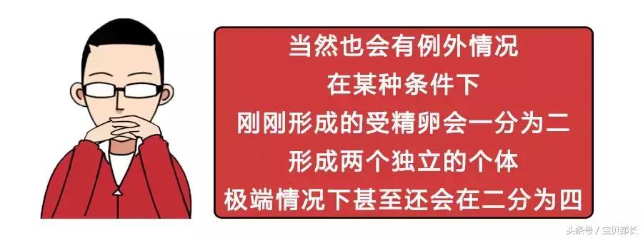 卵子和精子相遇……怎么就变成小孩了?