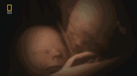 卵子和精子相遇……怎么就变成小孩了?