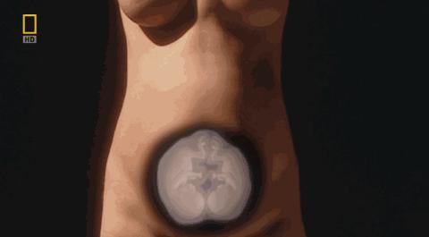 卵子和精子相遇……怎么就变成小孩了?