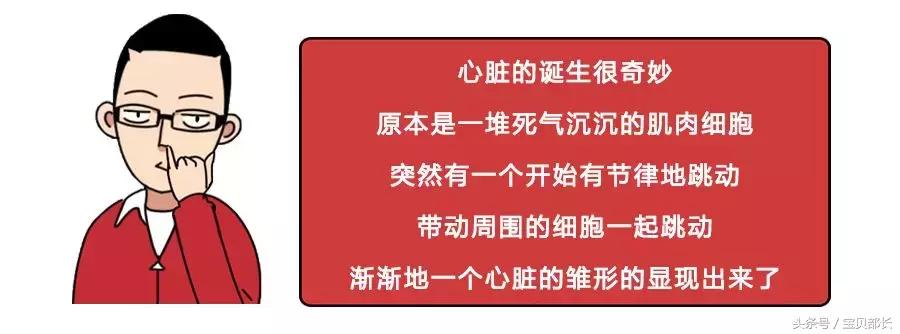 卵子和精子相遇……怎么就变成小孩了?