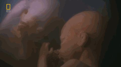 卵子和精子相遇……怎么就变成小孩了?