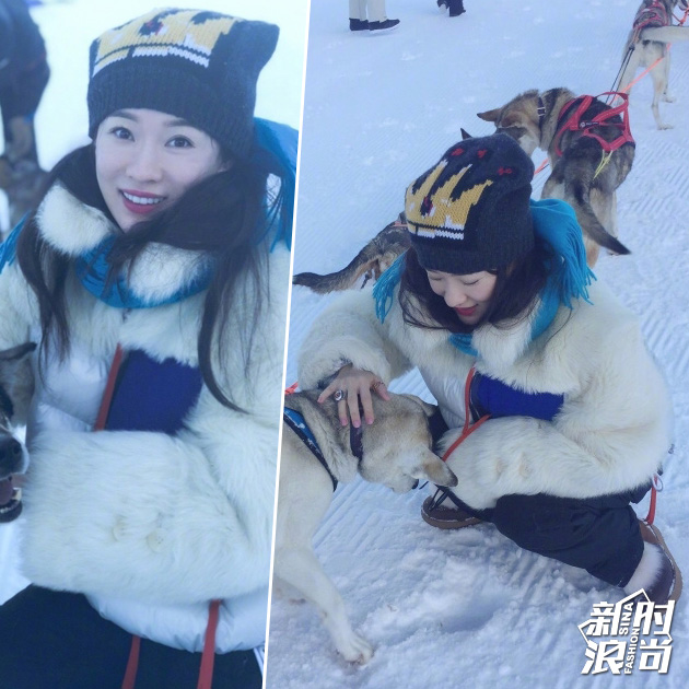 大雪还没等来这些能在雪地撒欢的爆款要先备好