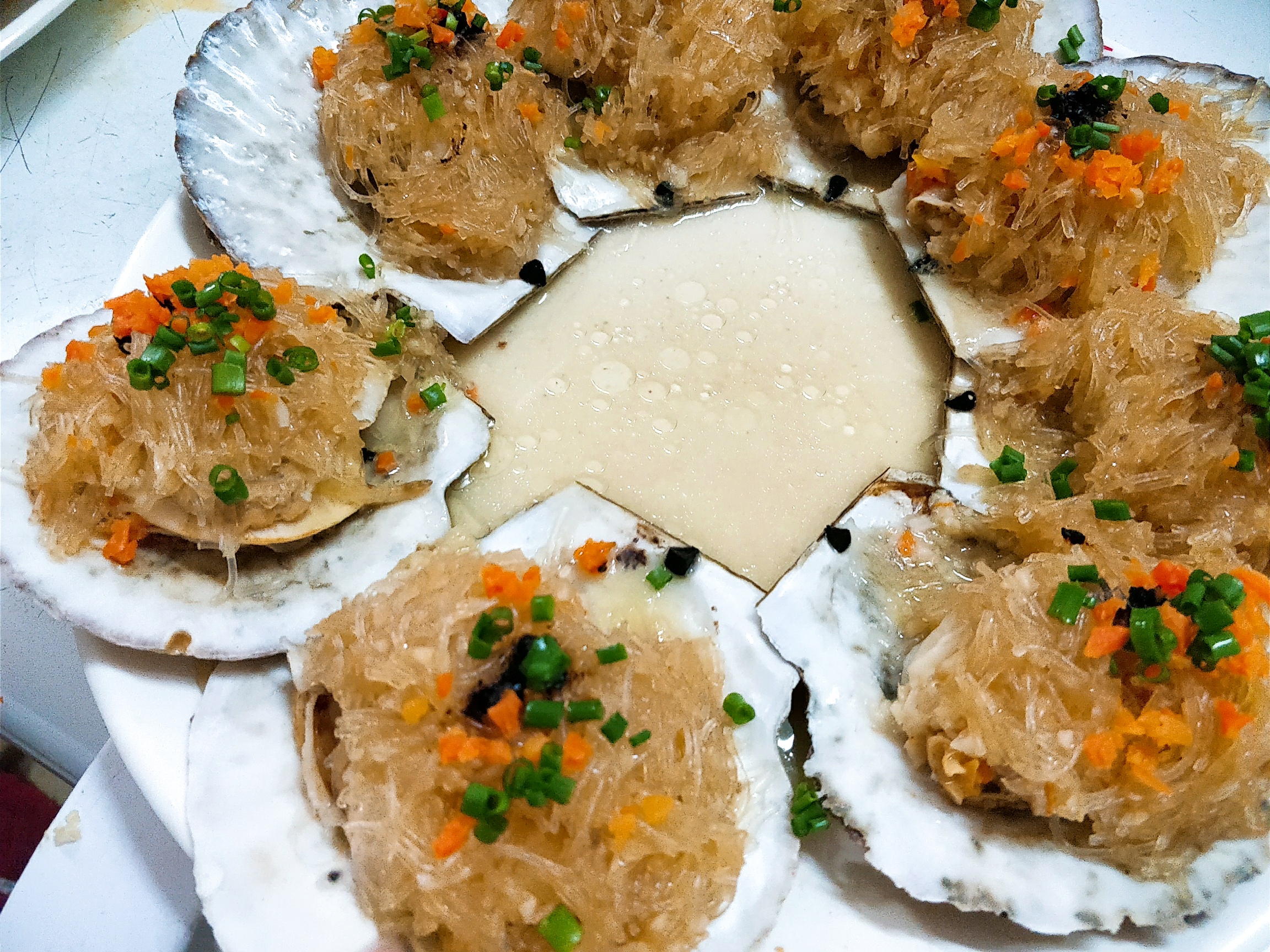 三亚体验网红帆船,三亚帆船海钓体验记