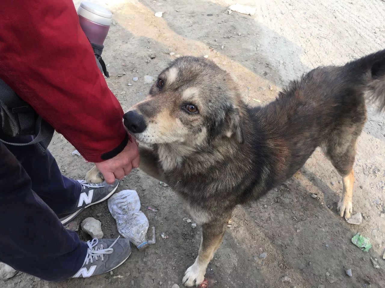 尼泊尔必买商品,尼泊尔购物街必买清单