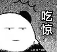 宠粮河北,怎么评价河北宠粮