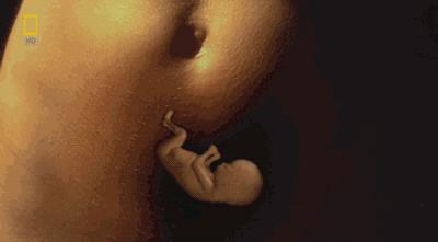 卵子和精子相遇……怎么就变成小孩了?