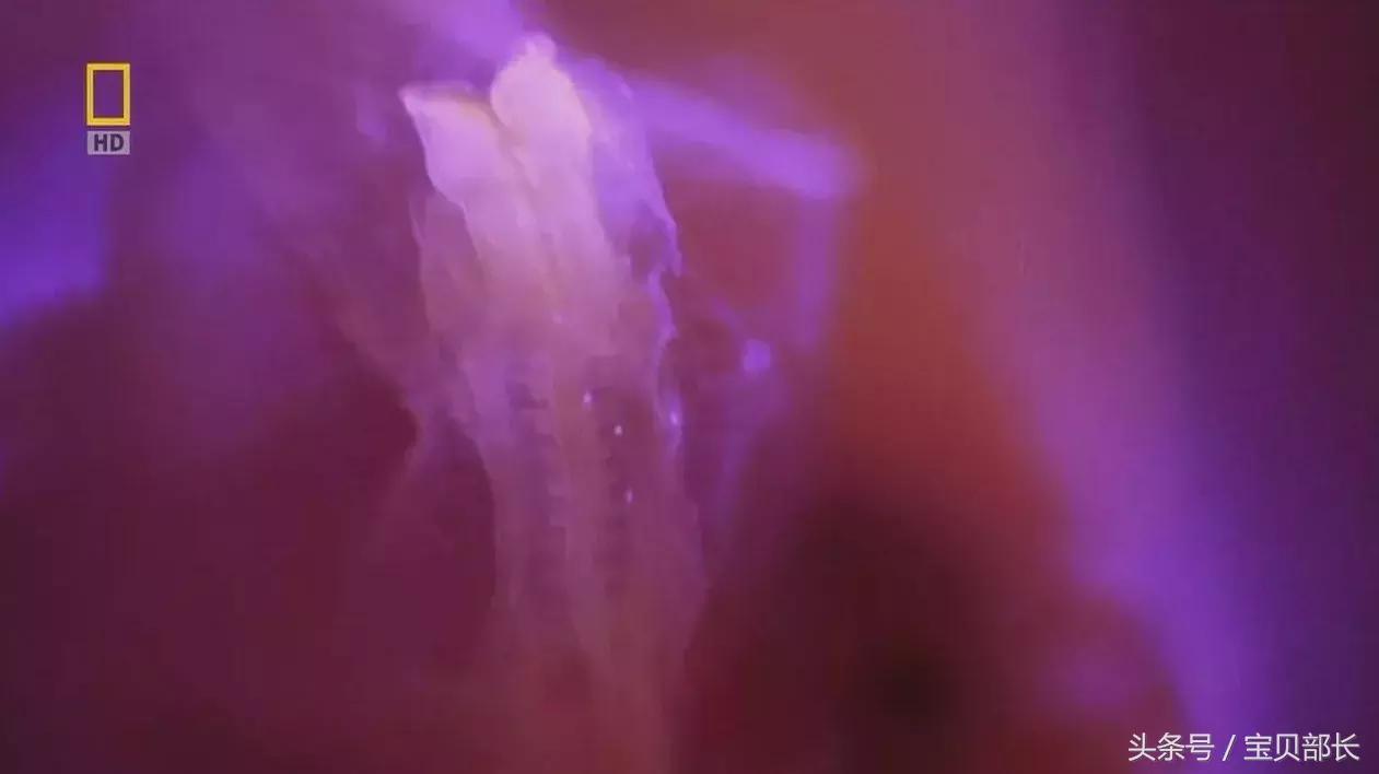 卵子和精子相遇……怎么就变成小孩了?