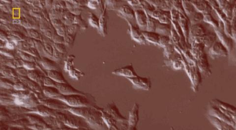 卵子和精子相遇……怎么就变成小孩了?