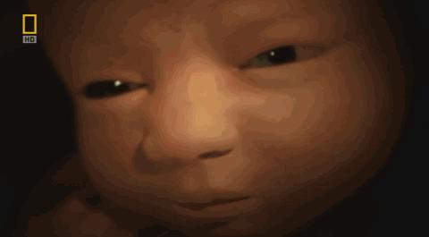 卵子和精子相遇……怎么就变成小孩了?