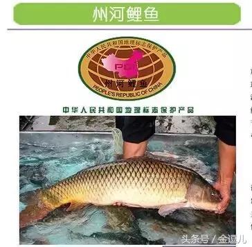 你好，我叫蓟州区，这是我的新名片，请收好